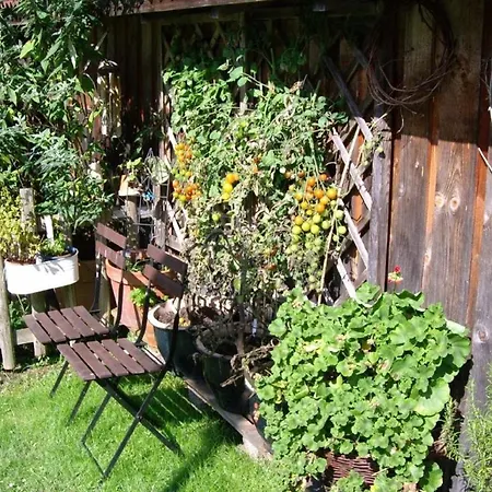Apartamento Apartmenthaus Fuerstenzeche *